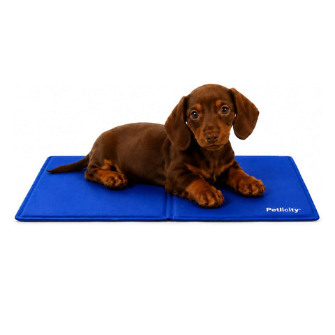 Petlicity Self Cooling Gel Mat for Dogs & Cats