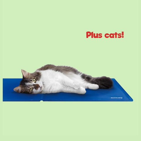 Petlicity Self Cooling Gel Mat for Dogs & Cats