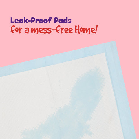 Puppy Dog/Kitten Toilet Training Pads - Pack of 50 Medium