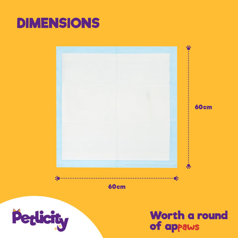 Puppy Dog/Kitten Toilet Training Pads - Pack of 50 Medium
