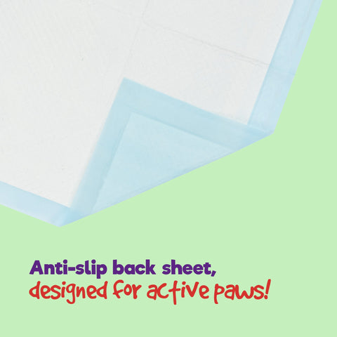 Puppy Dog/Kitten Toilet Training Pads - Pack of 50 Large